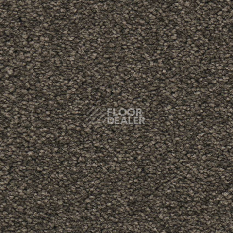 Balsan Dolce Vita Balsan Dolce Vita 770 фото 2 | FLOORDEALER